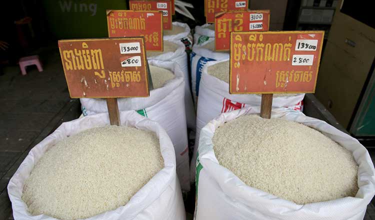 Cambodian firms urged to explore US rice market